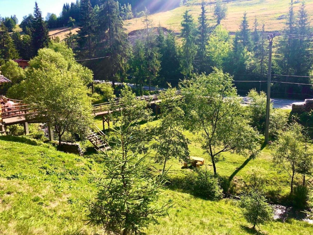 Cabana Cota 1000 Arieşeni Eksteriør billede